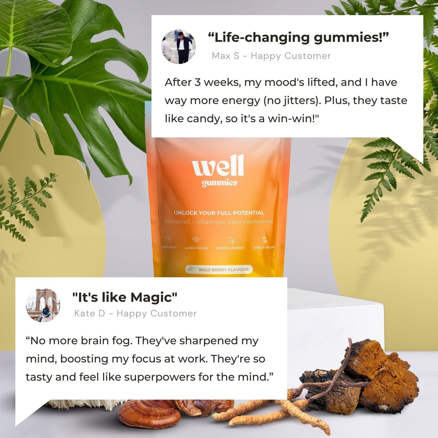 10-IN-1 MUSHROOM GUMMIES