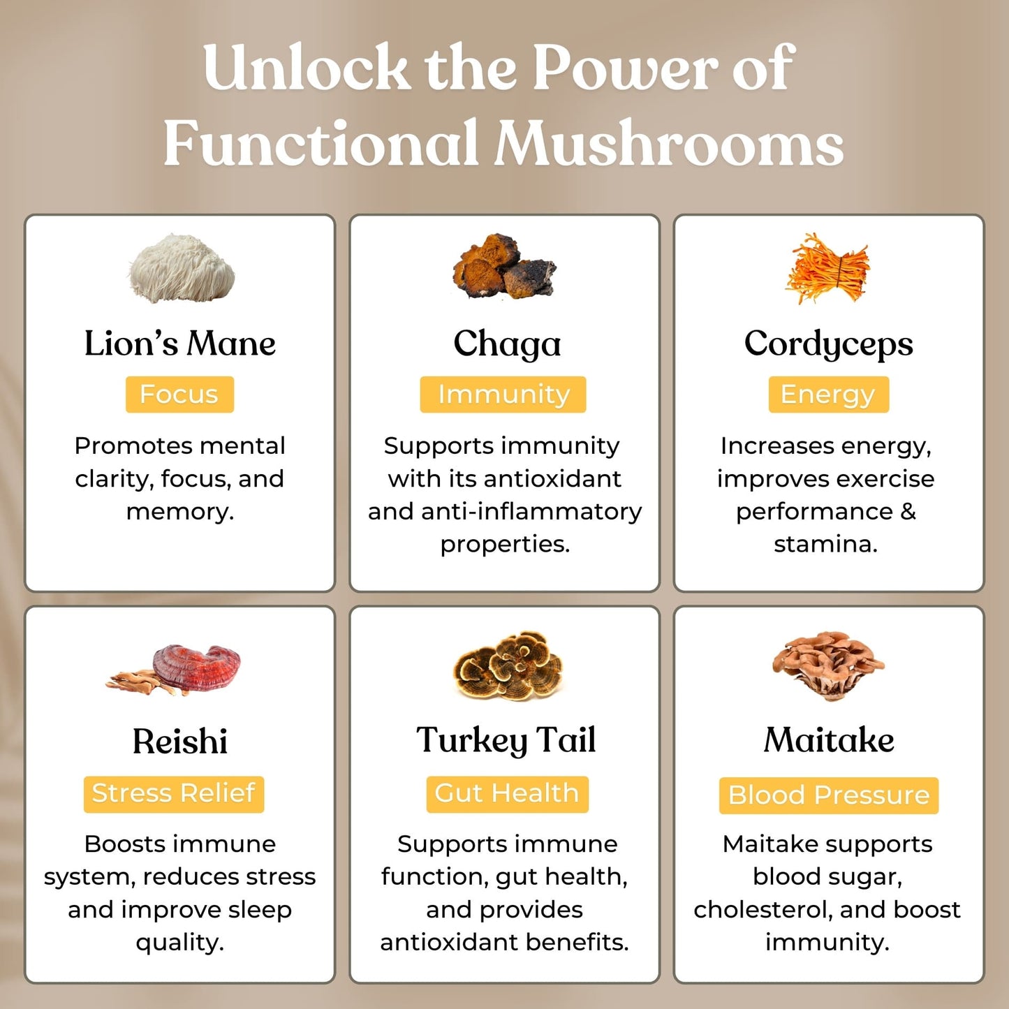 10-IN-1 MUSHROOM GUMMIES